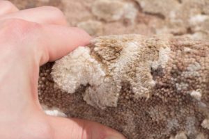 modern wool and silk