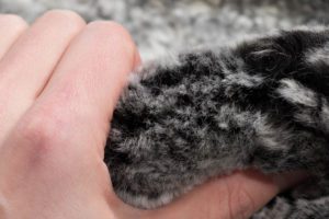 shearling rug