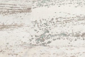 cowhide rug
