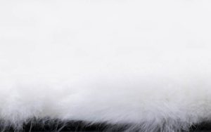 fur rug