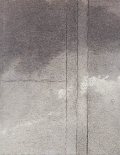 leather rug