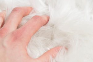 38664_LHD107A-Luxe_Fur_Alpaca_White_Rug-1'3''x1'6''-Argentina-5
