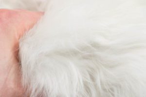 38664_LHD107A-Luxe_Fur_Alpaca_White_Rug-1'3''x1'6''-Argentina-6