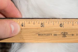 38664_LHD107A-Luxe_Fur_Alpaca_White_Rug-1'3''x1'6''-Argentina-7
