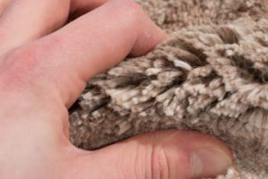 alpaca rug
