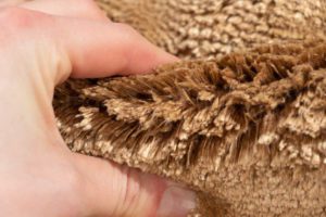 silk rug