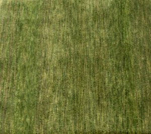 wool rug