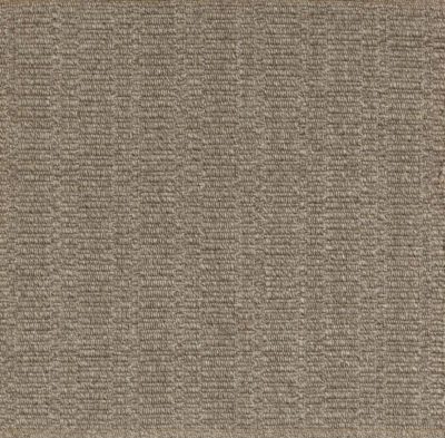 indoor outdoor rug