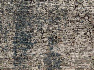 modern wool rug