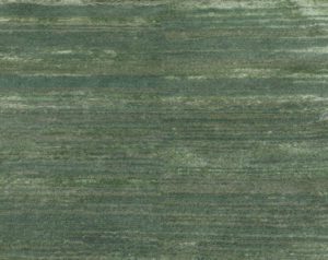 modern silk wool rug