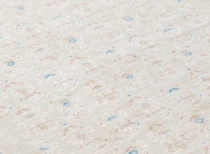 oushak wool rug