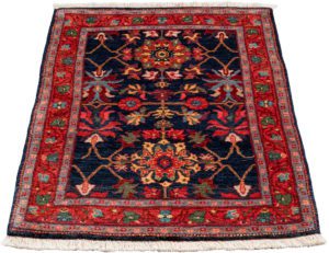 bidjar wool rug