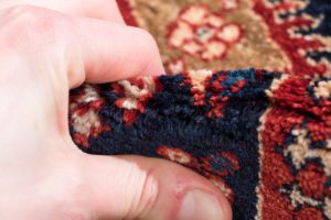 shahsavan runner rug