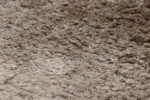 contemporary silk rug