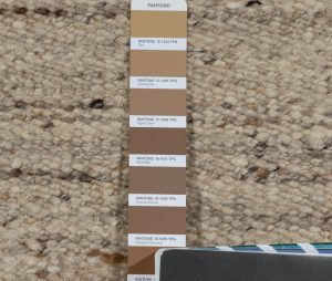 50069_EWV270E-Chunky_Flatweave_Oatmeal_Handwoven_Rug-12'1''x15'0''-India-4