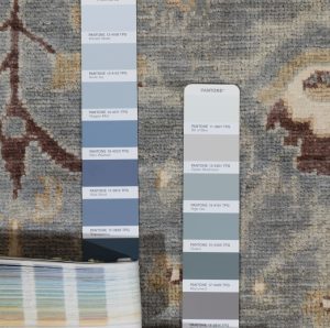 Agra Transitional Handwoven Rug
