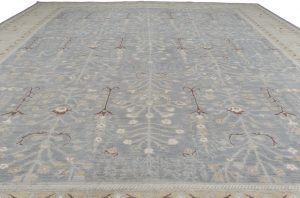 Agra Transitional Handwoven Rug