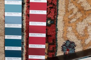 33628-Northwest_Persian_Ultimate_Village_Rug-2'9''x9'0''-Iran-11