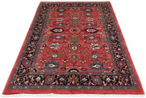 37971-Persian_Bidjar_Fine_Ultimate_Village_Rug-5'0''x7'7''-Iran-2