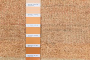 38034-Persian_Kashkuli_Ultimate_Gabbeh_Rug-4'10''x6'6''-Iran-11