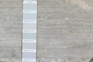 47444_ESW106A-Neptune_Gray_Slate_Ivory_Essential_Wool_Heirloom_Rug-5'0''x7'0''-India-9