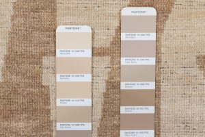 52888_SOL100A-Lawson_Natural_Cream_Retro_Pure_Silk_Rug-2'0''x3'0''-India-3