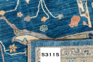 53115_BTR002A-Garrus_Bidjar_Handwoven_Tribal_Rug-9'0''x12'0''-Afghanistan-9