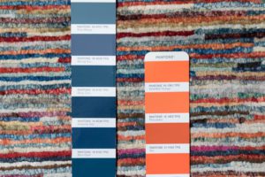53219_BTN022A-Gabbeh_Couleurs_Handwoven_Transitional_Rug-8'1''x9'8''-Afghanistan-12