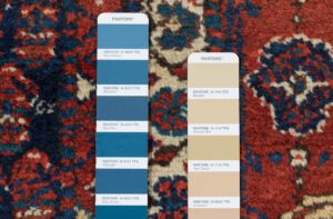 21665_ESTIRN1-Antique_Seraband_Hamadan_Hanwoven_Rug-3'0''x16'6''-Persia-12
