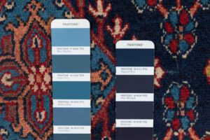 40984-Persian_Joshagan_Semi-Antique_Handwoven_Rug-8'10''x13'1''-Persia-13