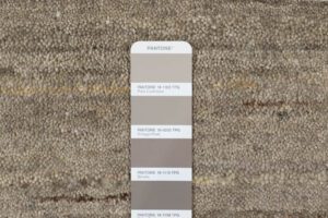 53053_ESW113I-Essential_Wool_Knotted_Modern_Ghazni_Taupe_Rug-5'0''x7'11''-India-9
