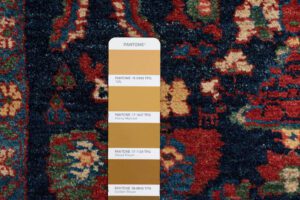 35079-Persian_Bidjar_Fine_Ultimate_Village_Rug-2'9''x12'3''-Iran-13