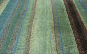 37803-Persian_Kashkuli_Ultimate_Gabbeh_Rug-7'2''x10'5''-Iran-10