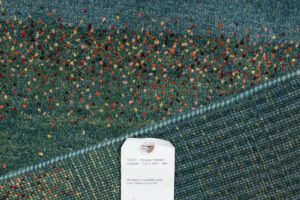 37803-Persian_Kashkuli_Ultimate_Gabbeh_Rug-7'2''x10'5''-Iran-2