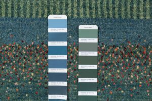 37803-Persian_Kashkuli_Ultimate_Gabbeh_Rug-7'2''x10'5''-Iran-4