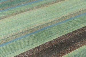 37803-Persian_Kashkuli_Ultimate_Gabbeh_Rug-7'2''x10'5''-Iran-9
