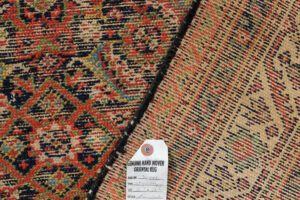 30442-Antique_Malayer_Handwoven_Rug-6'7''x16'7''-Persia-12