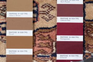 26611-Luxe_Bokhara_Beige_Handwoven_Rug-6'0''x9'0''-Pakistan-13