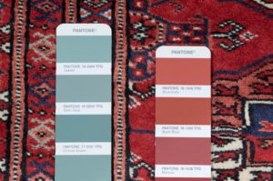 30084-Luxe_Bokhara_Red_Handwoven_Rug-5'5''x8'0''-Pakistan-12