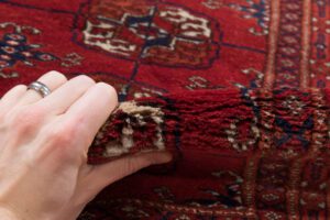 33934_BTR600A-Luxe_Bokhara_Handwoven_Rug-3'1''x12'0''-Pakistan-10