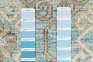 42266-Khotan_Transitional_Light_Blue_Ivory_Handwoven_Tribal_Rug-9'4''x12'2''-Afghanistan-16