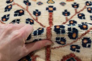 53487_BTR003A-Bakshaish_Willow_Fine_Handwoven_Tribal_Rug-8'5''x9'9''-Afghanistan-16