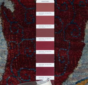 51180-Gherous_Very_Fine_Vivid_Color_Handwoven_Rug-9'11''x14'3''-India-12