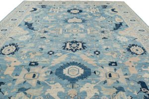 Serapi Transitional Handwoven Rug
