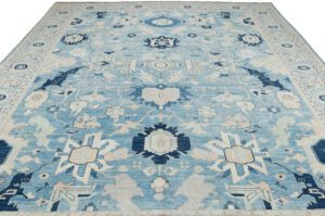 Serapi Transitional Handwoven Rug