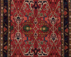 34010-Persian_Bidjar_Fine_Ultimate_Village_Rug-3'4''x5'0''-Iran-1-Center