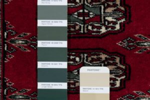 27128-Bokara_Very_Fine_Handwoven_Rug-3'1''x4'6''-Pakistan-12