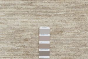 38965_ESW102B-Vibes_Beige_Ivory_Essential_Wool_Heirloom_Rug-7'10''x10'0''-India-5