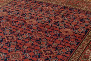 32171-Antique_Malayer_Handwoven_Rug-6'0''x13'4''-Persia-3