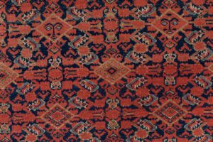 32171-Antique_Malayer_Handwoven_Rug-6'0''x13'4''-Persia-7
